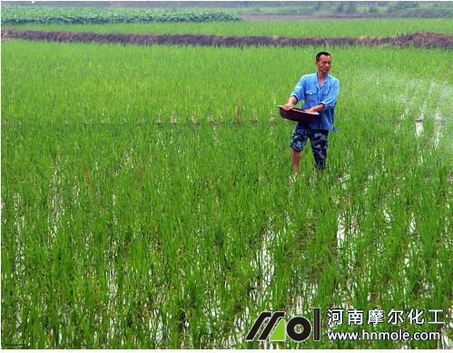 �׷������ʵ�����