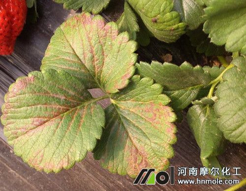 ��ݮȱ⛰Y��