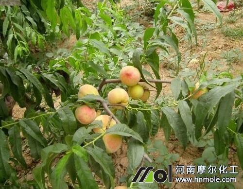 ˮ�ܷ�ʹ��Ч��