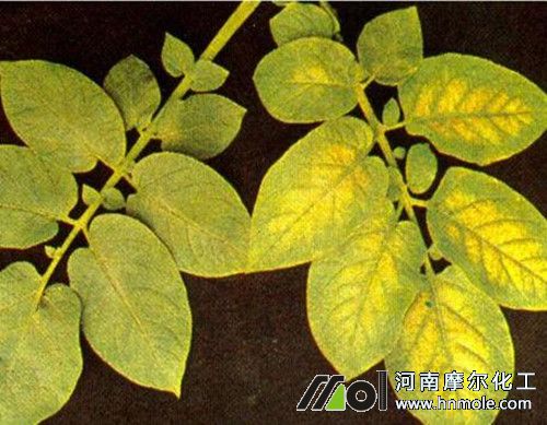 ����ȱ�V�Y��