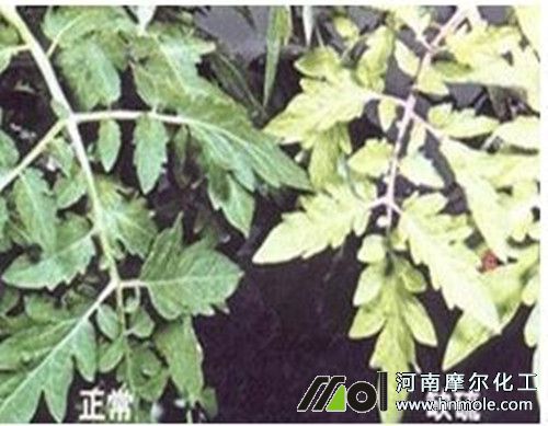 ���t��ȱ��Y��