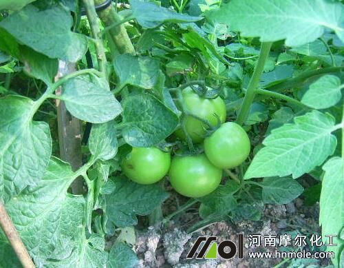 ���t���Y(ji��)����ʩ��