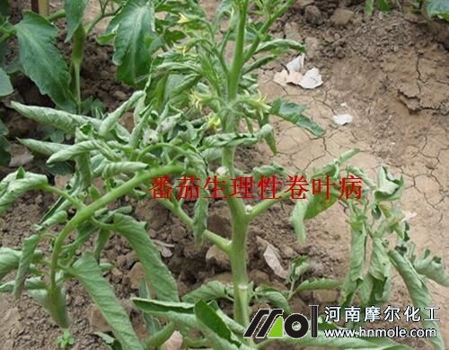 ���Ѿ��~ԭ��