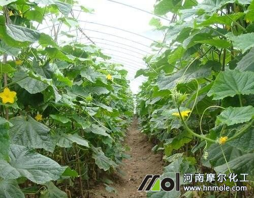 �S��ˮ�ʹ���