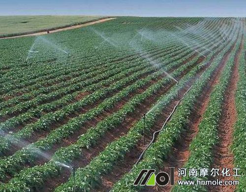 ˮһ�����ڵ��ڶ�����