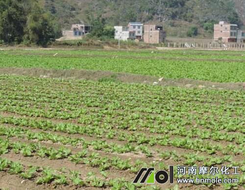 水溶肥使用注意 水溶肥使用注意