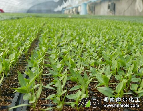 ����������ʩ��