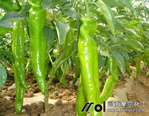 �N��������ʲô�Y����С