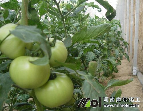 �������t����ô��߮a��