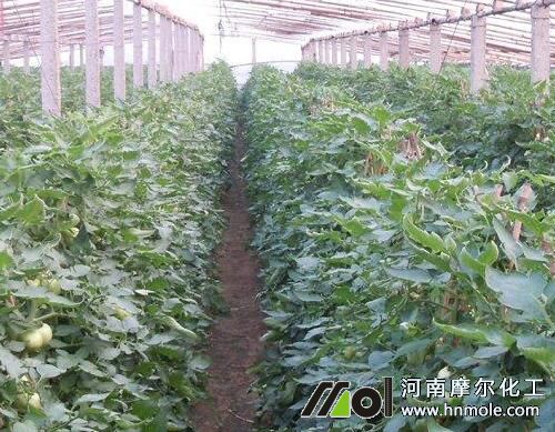 �������t����ô��߮a��