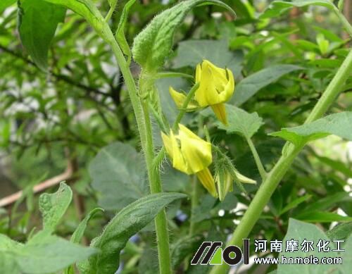 ���Ҵ��﷬�Ѯ��a