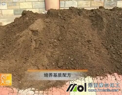 ���Բ�ݮ�׷ʻ��|