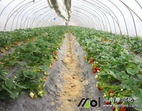 ˮ�ܷ��ڲ�ݮ�ϵ�ʹ�ü��g(sh��)