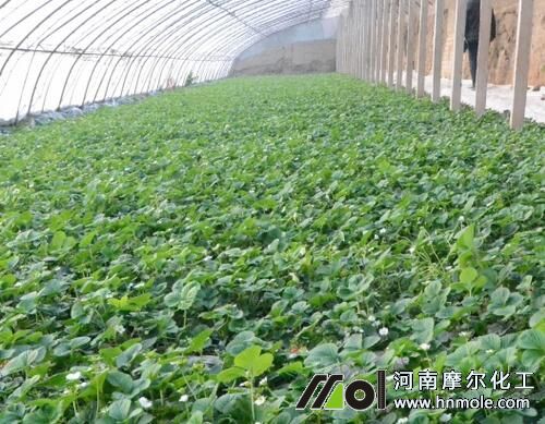 ˮ�ܷ�ʹ�÷���