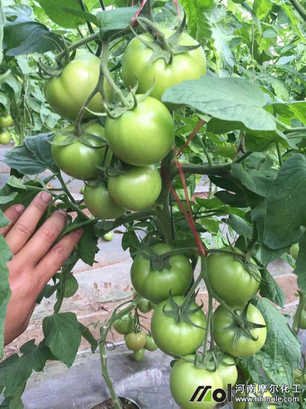 ���t��ˮ�ܷ�Ч��