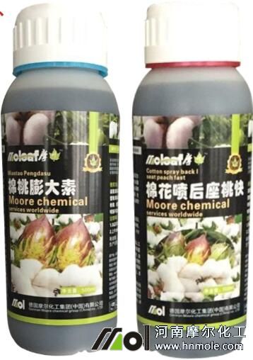 �޻������~���