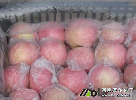 �t��ʿ�O��