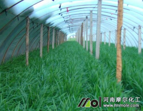 �²��~����x��