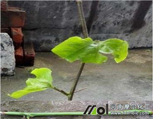 �����Ǥ������֦�l