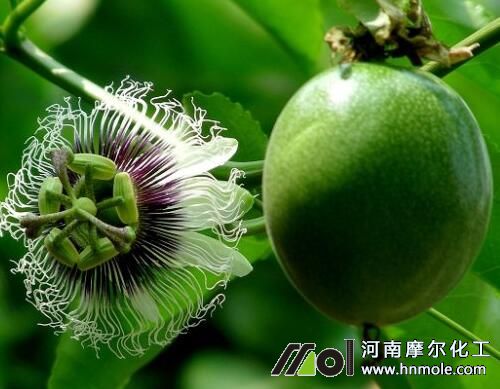 ��������ʩ�ʷ���