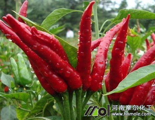 �m�������õ��~���