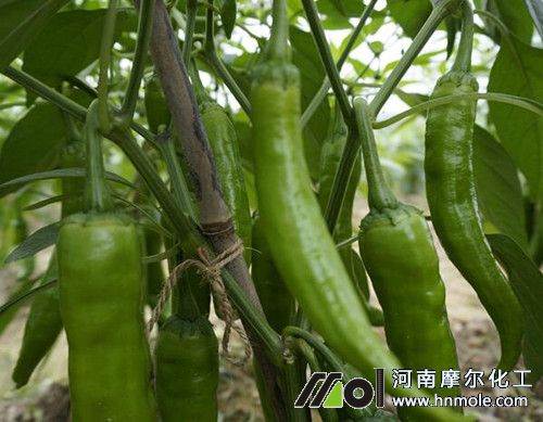 �����~��ʇ�ʩҪ�I