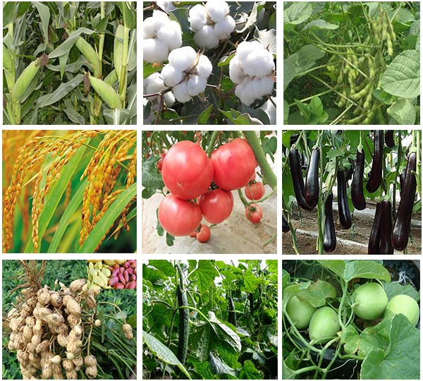 ���砀�������~����m������