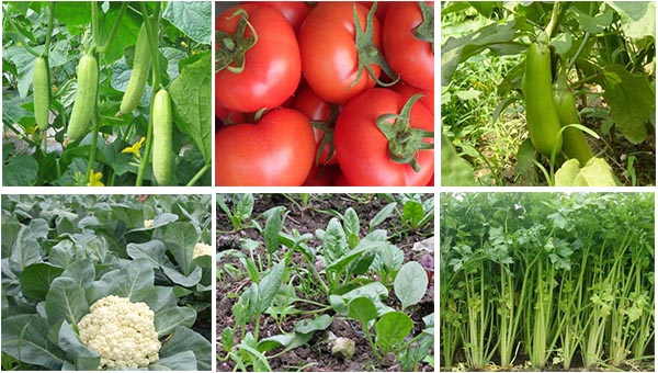 �⺦�`�m������N�