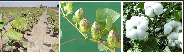 �޻��������L��