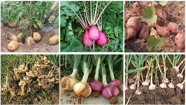 �~����m���߲�����