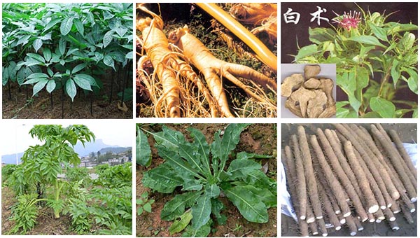 �~����m��ˎ��