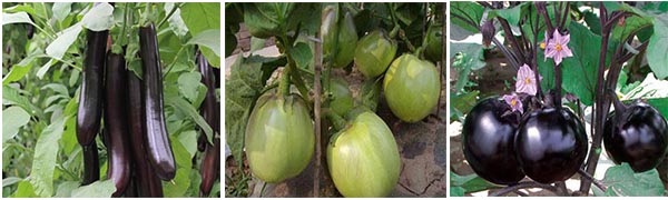 �~����m�÷N�