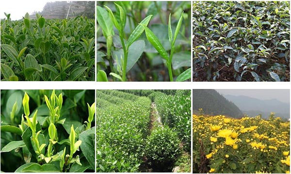 Ħ�~�m�ò��~�N�