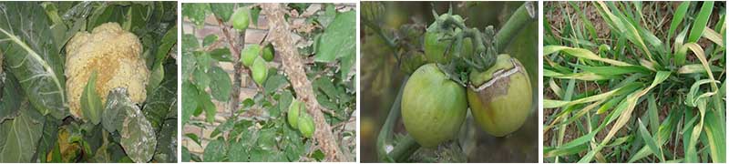 ���߃���