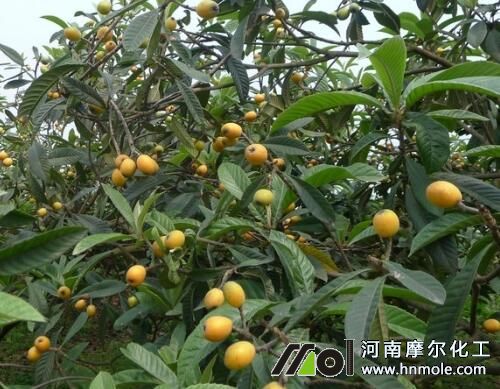 ����������c(di��n)