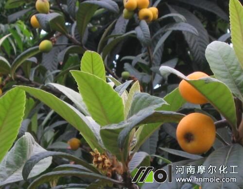 ���˘�(sh��)ʩ�ʼ��g(sh��)