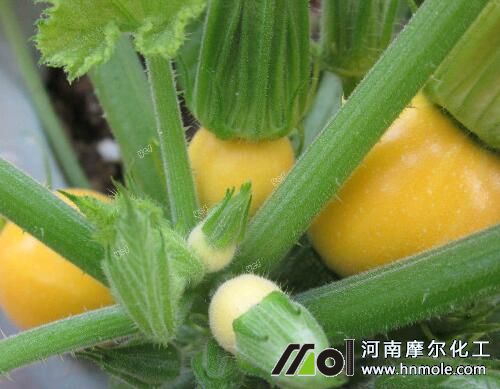 �����J�~����x��