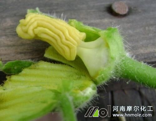 �ض����������J��˥