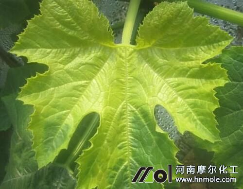 ������������J��˥