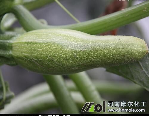 �B�ֆ��}���������J��˥