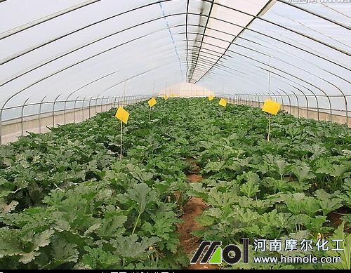 �������������J��˥