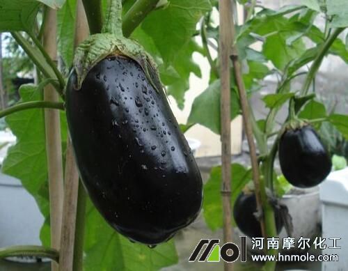 ˮ�ܷ��m���ѹ���߲�