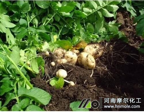 ˮ�ܷ��m�ÉK�o��߲�