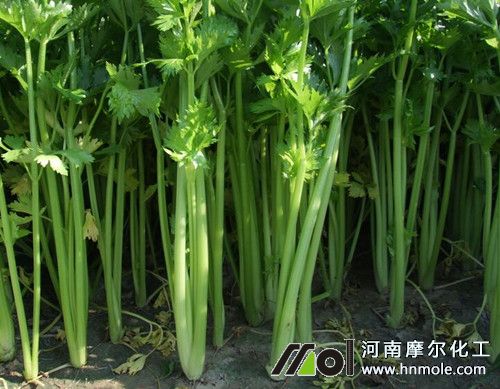 ˮ�ܷ��m���~����߲�