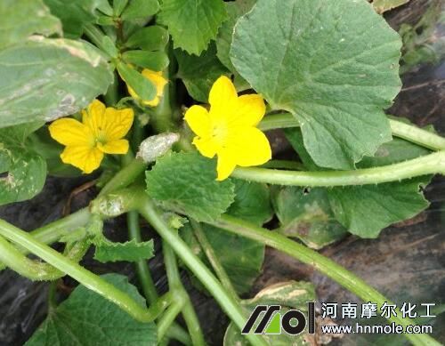 ���ˮ�ܷ��x��