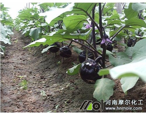 �����L����ԭ��