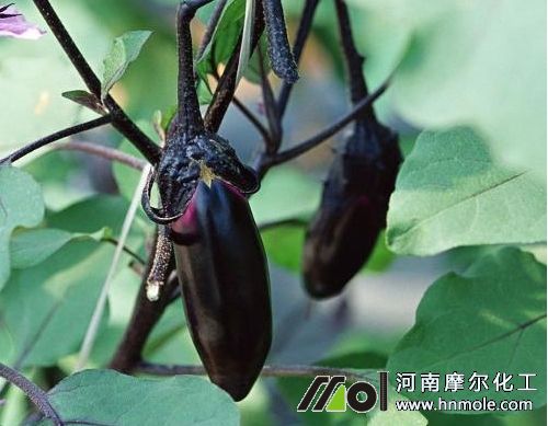 ����������cҎ��