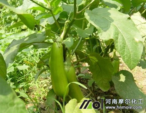 ����ʩ��ע��