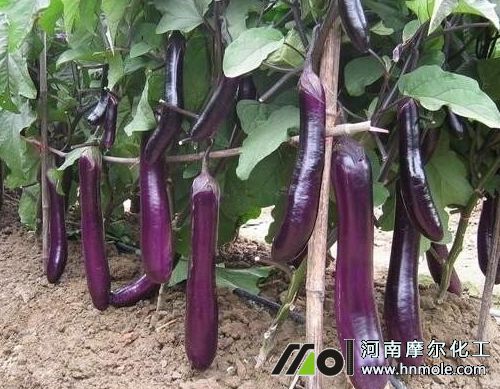 �����_����׷ʩˮ�ܷ�