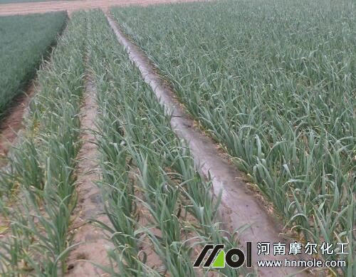 ����Խ��ǰʩˮ�ܷ�